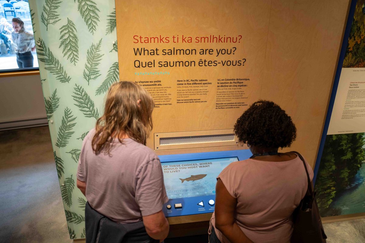 Snootli Creek Exhibit Game